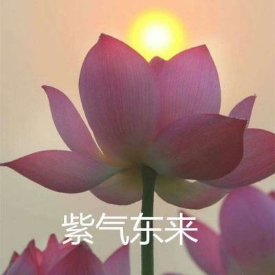 帝王世纪手游百度版下载